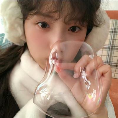 茶花女封面